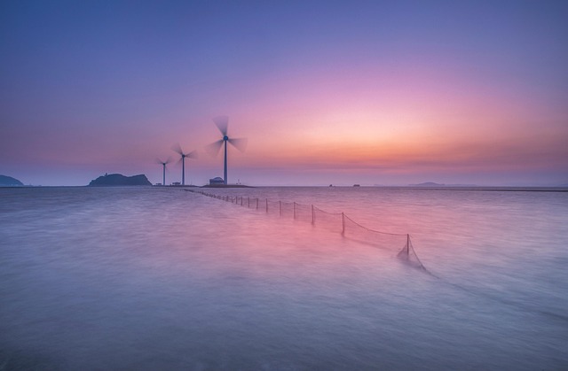 portrait of Emily Chen homeowner renewable energy advocate